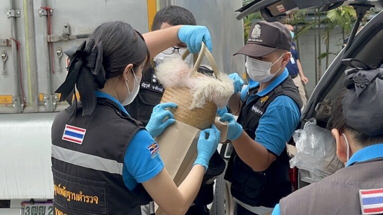 THAÏLANDE – SOCIÉTÉ : La tueuse en série était l’épouse…d’un policier Thaïlandais