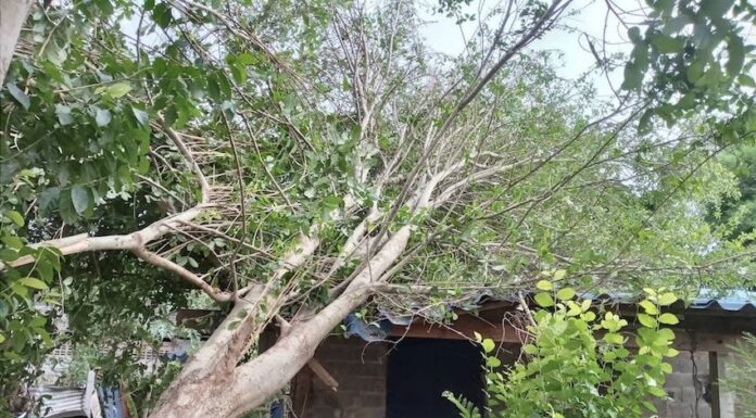 THAÏLANDE – CLIMAT : Vent, grêle et tempête sur Prachin Buri Prachin Buri tempête