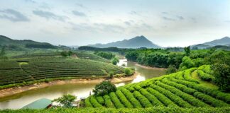 Nghe-An Vietnam