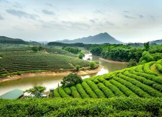 VIETNAM EXPRESS – ACTUALITÉS : Que retenir de l’actualité au Vietnam du 16 au 22 février ? Nghe-An Vietnam