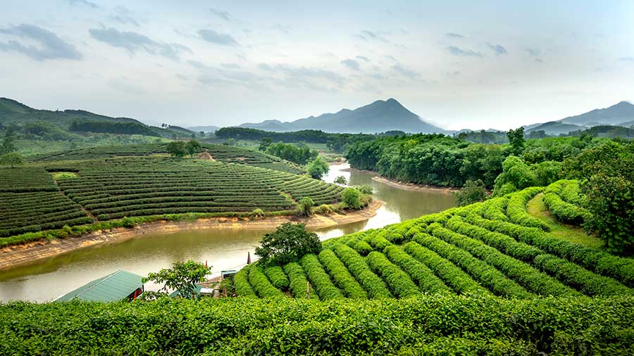 Nghe-An Vietnam