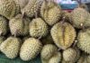 THAÏLANDE – ÉCONOMIE : Tableau de bord de l’économie de la Thaïlande au 6 mai durians Thaïlande