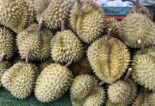 durians Thaïlande