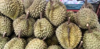 durians Thaïlande