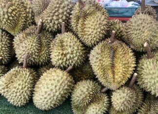 durians Thaïlande
