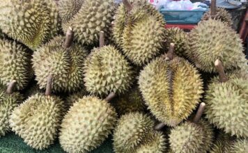 THAÏLANDE – ÉCONOMIE : Tableau de bord de l’économie de la Thaïlande au 6 mai durians Thaïlande