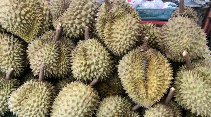 durians Thaïlande