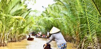 Touristes Vietnam
