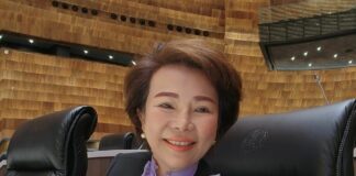 Amarat Chokpamitkul