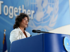 Noeleen Heyzer