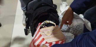 bag Louis Vuitton vol Dong Muang airport