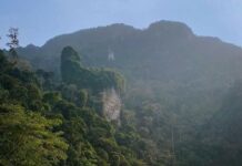 singes plages Thaïlande