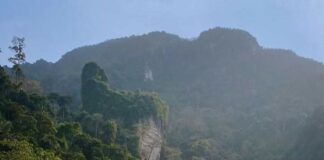 singes plages Thaïlande