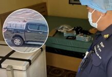allemand mort congélateur Pattaya