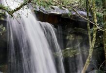 THAÏLANDE – TOURISME : Nouvelles destinations labellisées parc du patrimoine de l’ASEAN Phu Kradueng