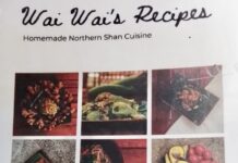 Livre recettes cuisine shan
