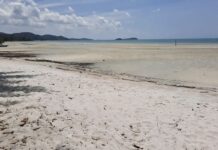 INDONÉSIE – ÉCOLOGIE : En face de Singapour, l’idée d’une ville écologique déçoit Ile Rempang