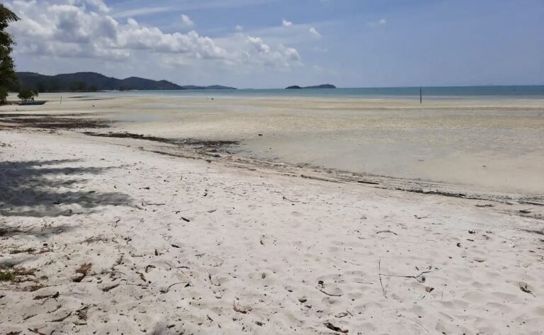 INDONÉSIE – ÉCOLOGIE : En face de Singapour, l’idée d’une ville écologique déçoit
