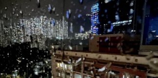 Honk Kong Koinu