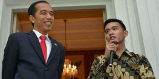 Gibran Jokowi Indonésie