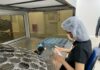 THAÏLANDE – FRANCE : Vos lunettes française sont « Made in Thailand » EssilorLuxottica Rayong