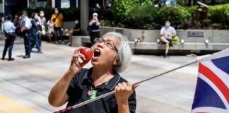 Grandma Wong Hong Kong
