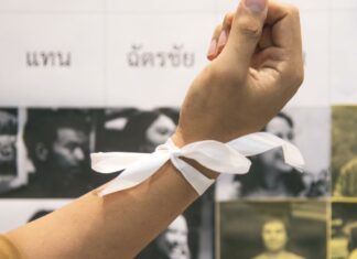 THAÏLANDE – POLITIQUE : La plate forme Internet Law Reform plaide pour une amnistie Ilaw amnistie