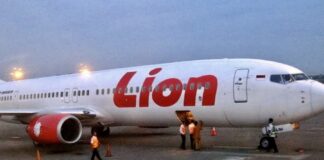 Thai lions air