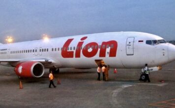 Thai lions air