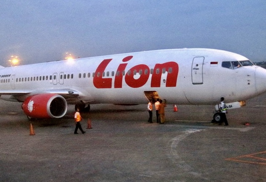 Thai lions air