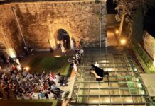 VIETNAM – TOURISME : Développer le tourisme nocturne et offrir des expériences inoubliables Thang Long spectacle nocturne