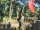 BIRMANIE – CHINE : Les ressortissants chinois priés de quitter le nord de la Birmanie militaires état Shan Birmanie