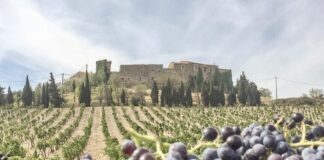 Domaine Gauby