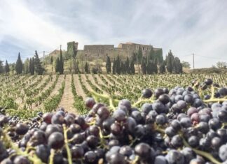 BANGKOK – GASTRONOMIE : Des vins Français pour accompagner vos repas Domaine Gauby