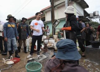Pita Limjaroenrat Sud Thaïlande