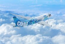 Really Cool Airlines