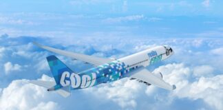 Really Cool Airlines
