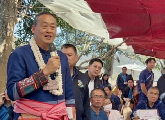 THAÏLANDE – ÉCONOMIE : Chiang Mai, capitale des bouquets du royaume Srettha Thavisin