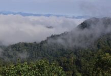 Thap Lan parc national