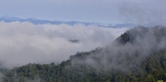 Thap Lan parc national