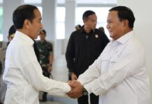 INDONÉSIE – ANALYSE : Après l’élection de Prabowo Subianto, quel avenir pour l’archipel ? Jokowi Prabowo Indonésie économie