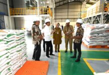 Jokowi distribution de riz