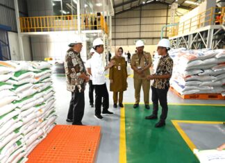 INDONÉSIE – RIZ : Le président Jokowi encourage la distribution de riz sur les marchés Jokowi distribution de riz