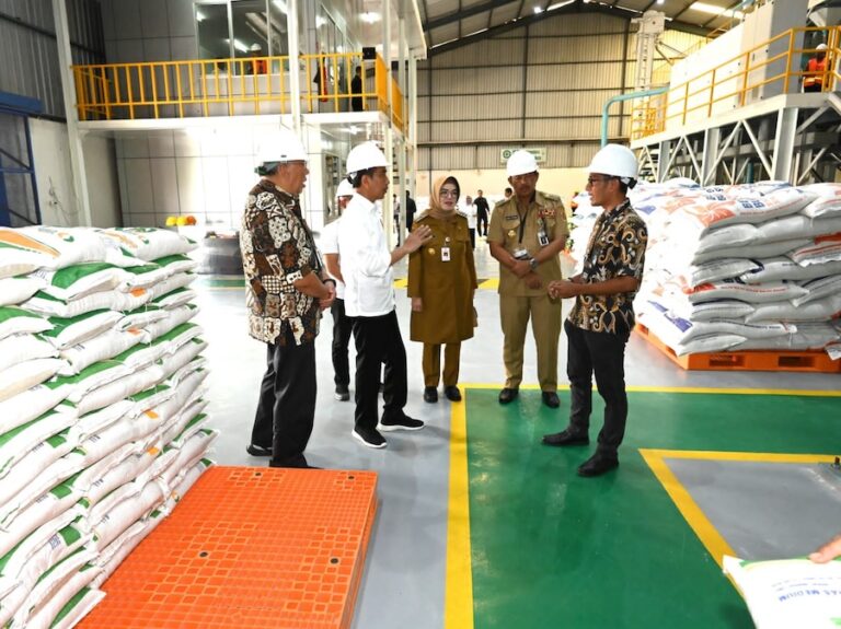 INDONÉSIE – RIZ : Le président Jokowi encourage la distribution de riz sur les marchés