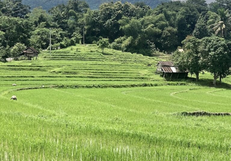 LAOS – ÉCONOMIE : Le tourisme, levier économique