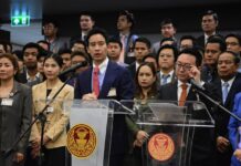 MPF cour constitutionnelle