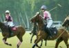 Queen s Cup Pink Polo