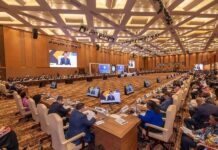 Sommet du Sud en Ougenda