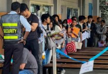 birmans demande de visa