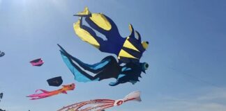 cerf volants Pattaya